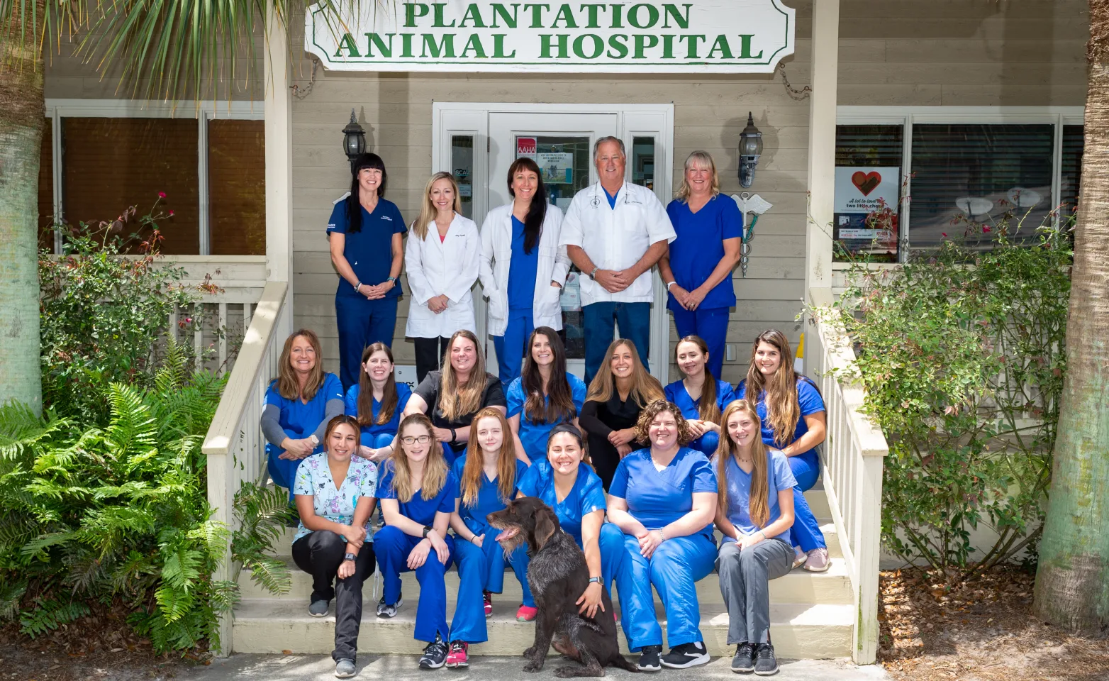 Plantation Animal Hospital group staff photo standing and sitting together in front of their building.